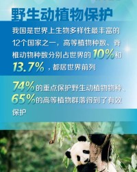 或和林怎么组词呢
