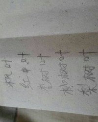 叶怎么组词语