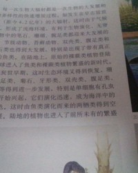 最好的最组词(最好的最组词成语)