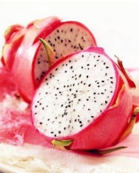 火龙果可以怎么组词啊