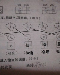 朋组词怎么