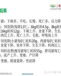 农组词(农组词组)