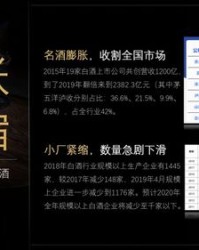 装的龙怎么组词