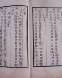 体组词语(体组词组词语)
