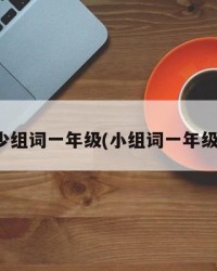 少组词一年级(小组词一年级)