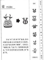 田什么组词(田什么组词语)