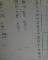 号可以怎么组词