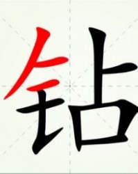 钻怎么组词语