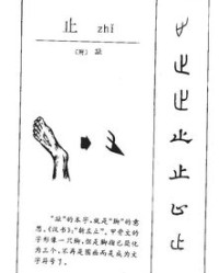 蹈止怎么组词