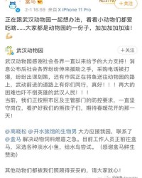 小度爱怎么组词