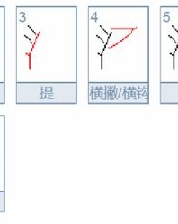 革泽怎么组词