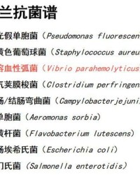 疾表示飞快怎么组词呀