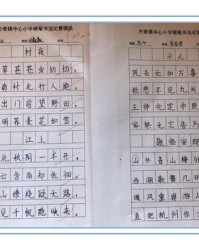 收组词(收组词二年级上册)