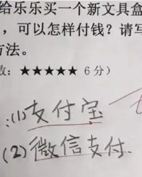 树的白怎么组词