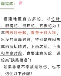 丛林的林可以怎么组词