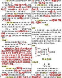 背中的中怎么组词