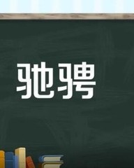 驰的拼音和组词(驰的拼音和组词分别是什么)