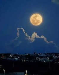 赏月的赏该怎么组词