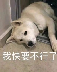 买包的买怎么组词