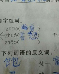 蒲怎么组词怎么组词