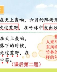 扬可以怎么组词