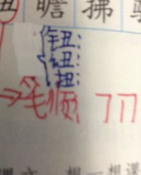 扭去的扭怎么组词