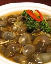泥螺怎么组词