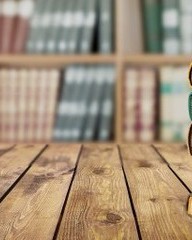 惧字组词(惧字组词有哪些)