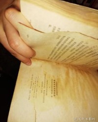 害虫的害还能怎么组词
