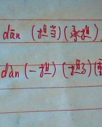 担组词