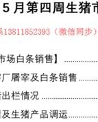 肥膘可以怎么组词