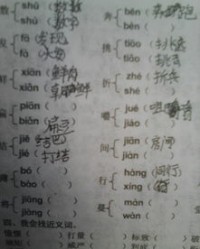 对字组词语(对字组词语有哪些)