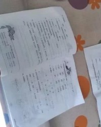 小度得的组词怎么写