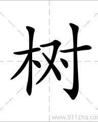 藤怎么组词