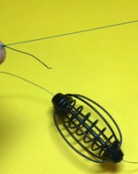 笼的组词(笼的组词有哪些呢)