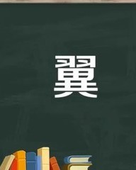 翼的拼音组词(翼的拼音组词组词语)