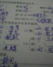 知识的知怎么组词
