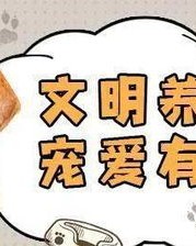 犬组词