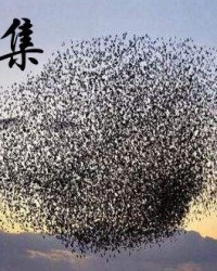 聚是怎么组词
