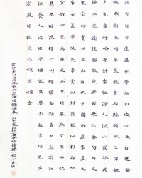 月可以组词什么(膀可以组词什么)