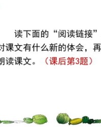 着鸡怎么组词