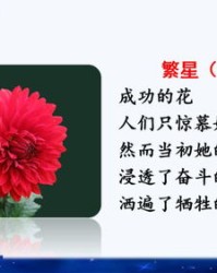 箩和访怎么组词的