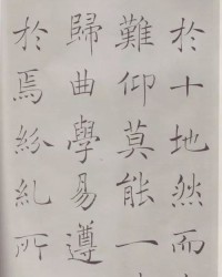宛如的宛该怎么组词