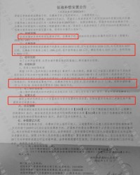 桑在前面怎么组词