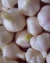 腌蒜怎么组词