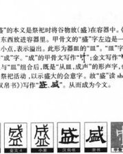 团结组怎么组词语