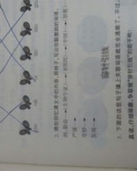 循怎么样组词