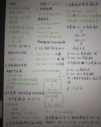 数学的数的组词(数学的数的组词是什么)