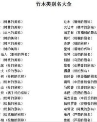 云称怎么组词