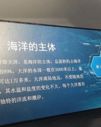 洋组词语有哪些